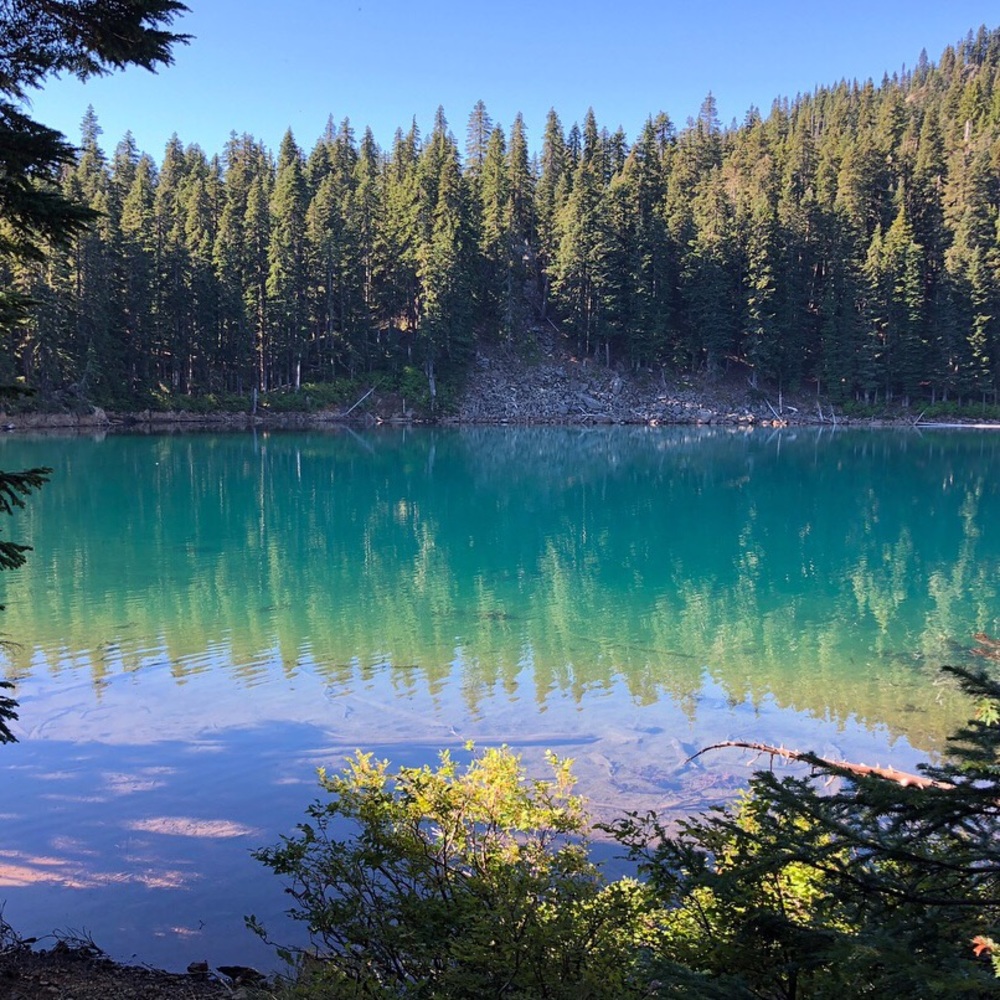 Meet your Posher, Julia